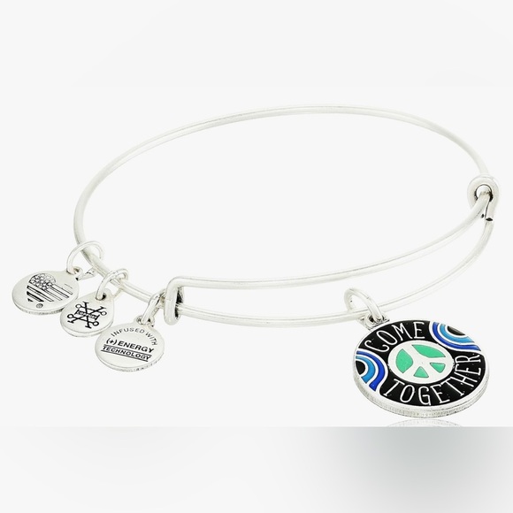 💙ALEX AND ANI💙Come Together Charm Bangle in Rafaelian Silver w/Gift Box/NWOT - Picture 2 of 6